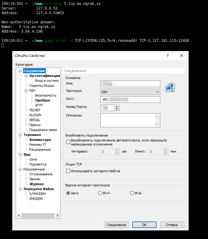 ngrok + socat на VDS